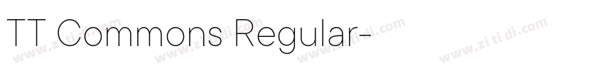TT Commons Regular字体转换